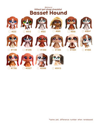Basset Hound