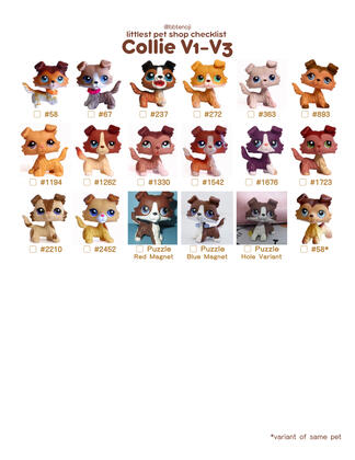 Collie V1-V3