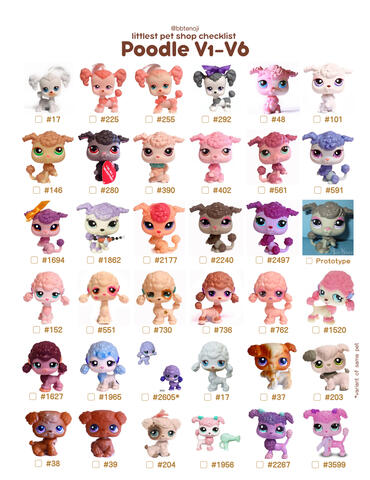 Poodle V1-V6